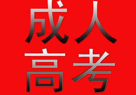 成人高考英語(yǔ)復(fù)習(xí)